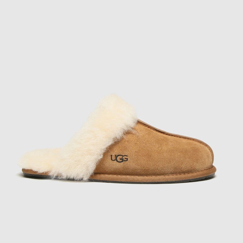 Ugg Scuffette Slippers Dr.Martens NZ Tan