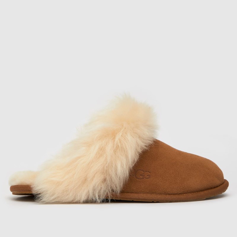 Tan Ugg Scuff Sis Slippers Dr.Martens NZ