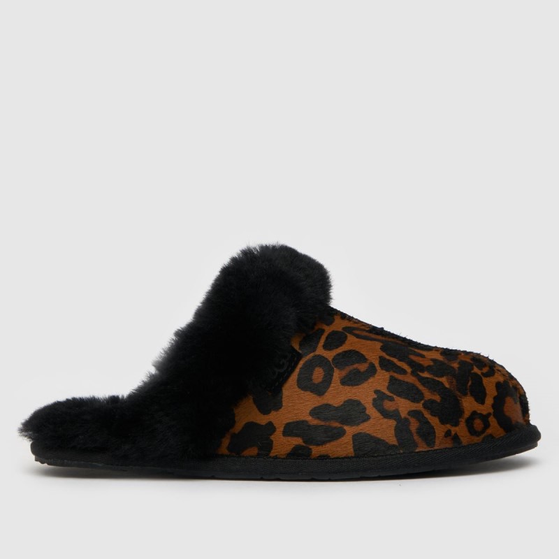 Black-Brown Ugg Scuffette Ii Slippers Dr.Martens NZ